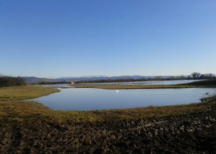 Apartment Giulia Grado